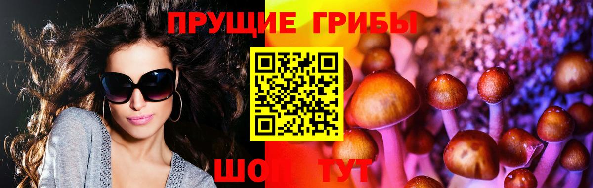 Галлюциногенные грибы Magic Shrooms Электросталь